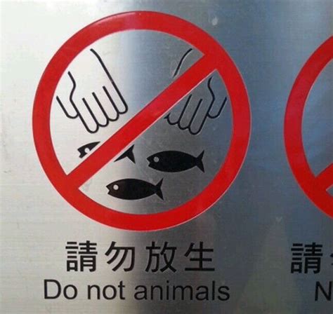 20 hilarious translation fails in asia bored panda