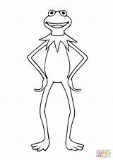 Kermit Frog Coloring Drawing Pages Standing Printable Muppets Drawings Supercoloring Getdrawings Popular sketch template