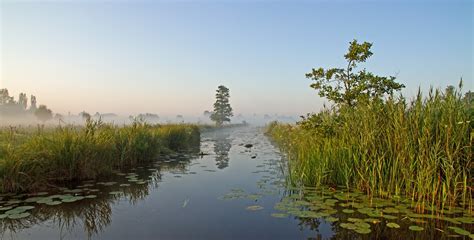 nederlandse natuur de  grootste nationale parken van nederland