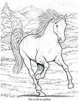 Coloring Running Horses Horse Pages Getdrawings sketch template