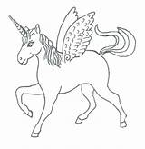 Coloring Unicorn Wings Pages Getdrawings sketch template