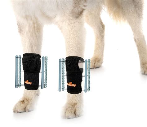 buy neoally    dog front leg splint braces  support stabilization  immobilization
