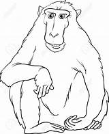 Coloring Primate Macaque Designlooter 1059 1300px 03kb sketch template