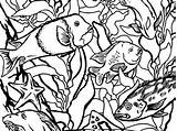 Coloring Pages Kelp Forest Monterey Bay Ocean Outline Drawing Otter Life Aquarium Getdrawings Getcolorings sketch template