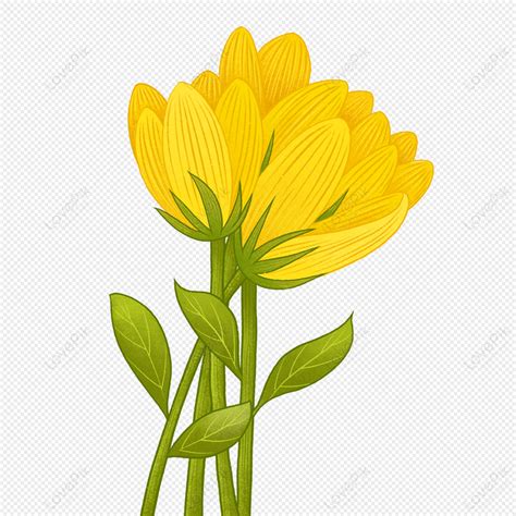 vector dibujado  mano dibujos animados flores amarillas png flores