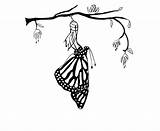 Butterfly Cocoon Drawing Clipartmag Gif Leaves sketch template
