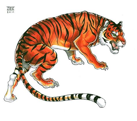 tigre fotos desenhos e tattoo tigre desenho tatuagem de tigre e desenhos