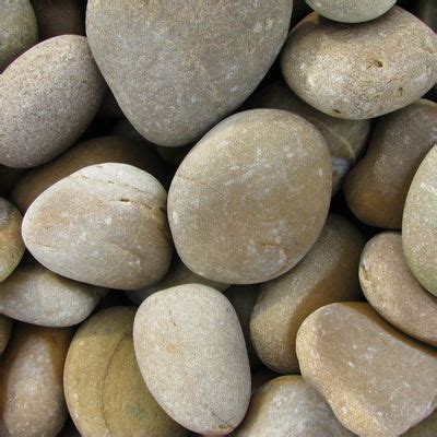 buy big pebbles grey   cheap price  plantsgurucom