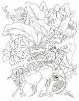Coloring Pages Nature Adults Emerlye Cynthia Popular Coloringhome sketch template