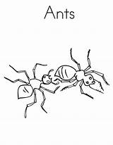 Coloring Ant Worker Hard sketch template