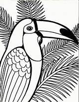 Parrot Colorier Colornimbus sketch template