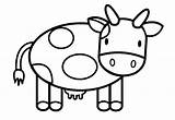 Cow Coloring Pages Cartoon Cute Color Print Getdrawings Getcolorings Printable sketch template