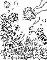Coloring Coral Reef Pages Printable Sheet Print Pdf Coloringcafe Button Prints Standard Below Click sketch template