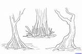 Drawing Plantation Swamp Draw Drawings Pencil Tree Step Easy Turtle Snapping Swamps 2000 Trees Paintingvalley Coloring Explore Nursery sketch template
