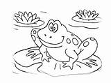 Frog Coloring Pages Tadpole Kids Cycle Life Frogs Leap Toad Printable Drawing Colouring Print Color Poison Dart Theme Getdrawings Getcolorings sketch template