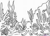 Reef Barrier Great Coloring Pages Coral Popular Draw sketch template