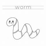 Worm Tracing Trace Handwriting sketch template
