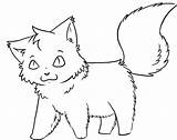 Fluffy Whiskers Kitten sketch template