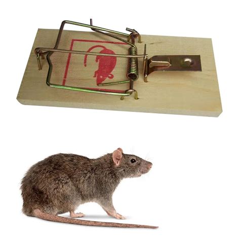 reusable wooden mouse traps bait mice vermin rodent pest control