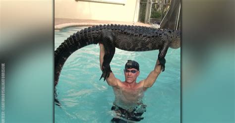 nearly 9 foot alligator pulled from florida pool