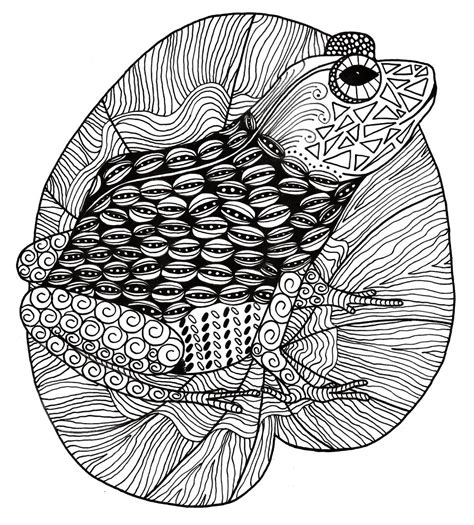 intricate zentangle frog adult coloring page favecraftscom