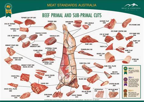 blog diagram bagian bagian daging sapi bagian