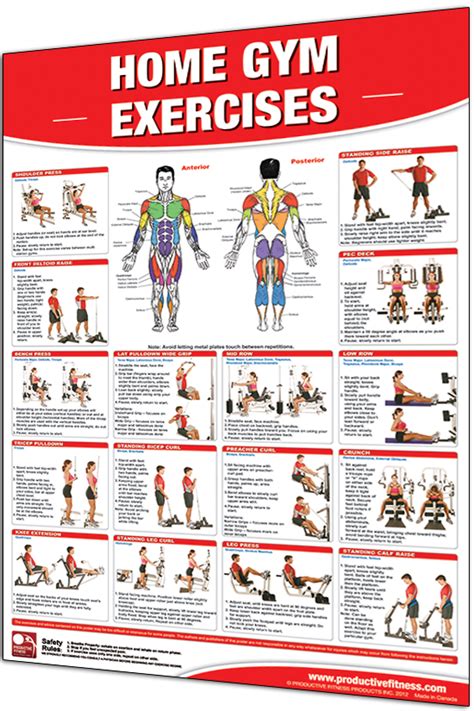 Productive Fitness Home Gym Exercises