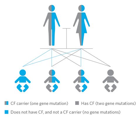 Cystic Fibrosis Understand More Patient Ambry Genetics