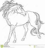 Pintar Cavalos Coloriage Cheval Cavalo Jogos Pferd Malbuch Sponsored Imagem Coloringcity Realistic sketch template