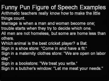 types  funny pun figure  speech words phrases  statements
