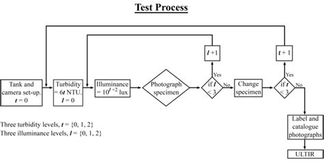 flowchart   test process  scientific diagram