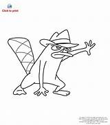 Coloring Pages Perry Platypus Phineas Ferb Drawing Noggin Agent Oobi Drawings Cool Cute Book Step Skills Disney Draw Kids Printable sketch template