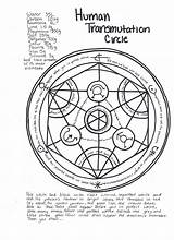 Transmutation Circle Human Deviantart Drawings Anime Wallpaper sketch template