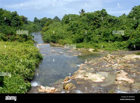 river efate island vanuatu stock photo alamy