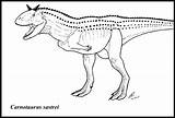 Carnotaurus Sheets Dinosaurs Kolorowanka Dinosauri Coloringfolder Kolorowanki sketch template