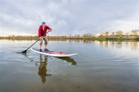 male paddler  stand  paddleboard stock photo image  paddling