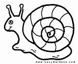 Snail Melc Schnecke Ausmalbild Colorat Planse Escargot Slug Desene Lumaca Caracol Snails Kinderbilder Niedliche Slugs Designlooter Melci Malvorlage Melcul Educative sketch template