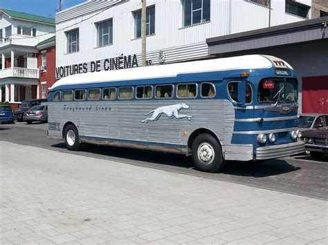 greyhound bus