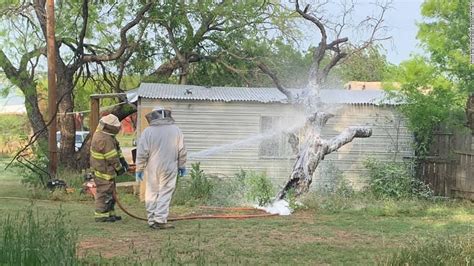 a texas man mowing his lawn was killed after he was attacked by an