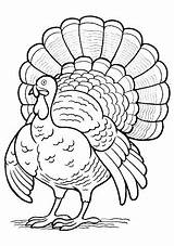 Turkey Coloring Pages Drawing Line Baby Wild Printable Hand Template Easy Thanksgiving Getcolorings Paintingvalley Drawings Clip Color sketch template