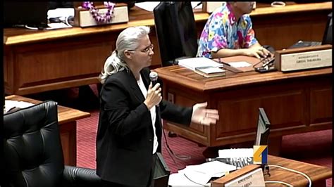 Same Sex Marriage Bill House Final Reading Youtube