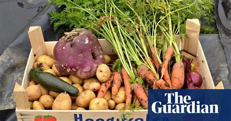 How To Set Up Your Own Community Allotment Life And Style The Guardian