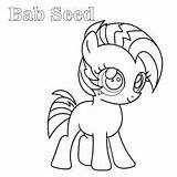Pony Coloring Little Pages Seed Color Bab Toddler Will sketch template