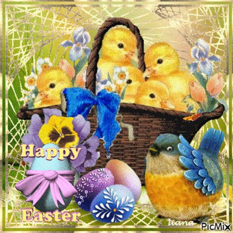 chick basket easter gif pictures   images  facebook
