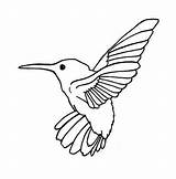 Coloring Hummingbird Printable Pages Color Print Allens Online Hummingbirds Kids Rocks sketch template