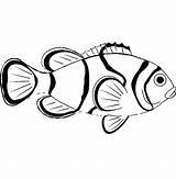 Fish Clown Coloring Pages Sea Animal Drawing Saltwater Printable Getcolorings Color Getdrawings Colouring Print Realistic Goldfish Fancy Buy sketch template
