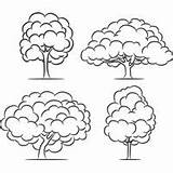 Trees Four Coloring Surfnetkids sketch template