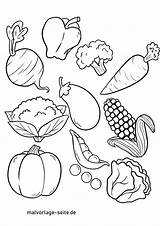 Gemüse Ausmalbild Malvorlage Obst Ausmalen Verdure Mewarnai Sayuran Disegno Zum Gesundheit Hund Gemuse Kinderbilder Trinken Gemuese sketch template