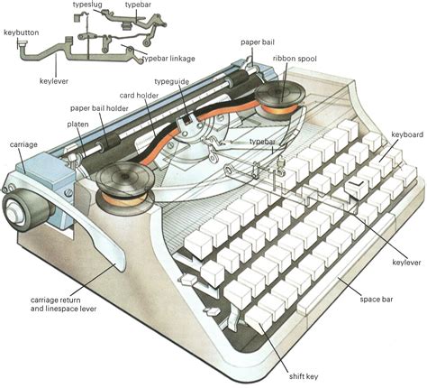 oztypewriter anatomy   typewriter