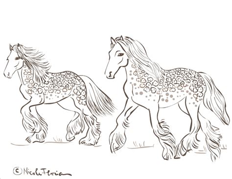 wild horse coloring pages  print atfresh color